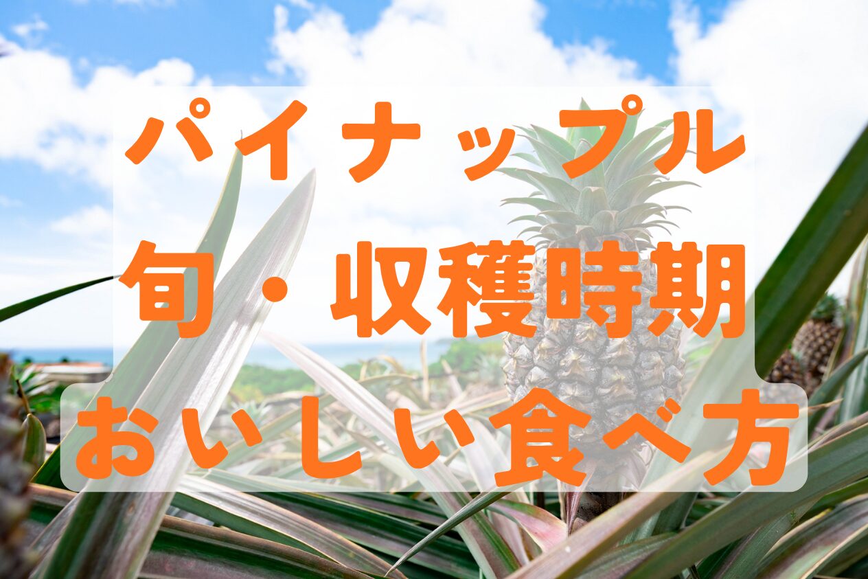 パイナップルの旬やおいしい食べ方
