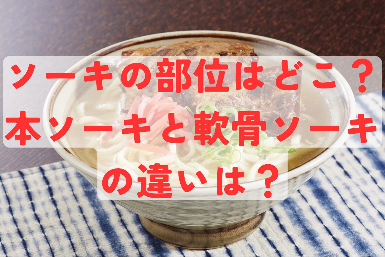 ソーキの部位の紹介と、本ソーキ・軟骨ソーキの違い